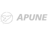 APUNE (Associació de Programes Universitaris Nord-americans a Espanya)